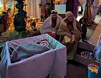 20251220-255 2025-12-20 17.42.09