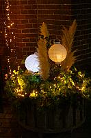 20251109 0008 IMG 9427