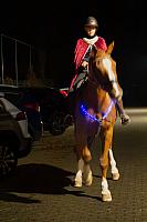 20251109 0074 IMG 9493